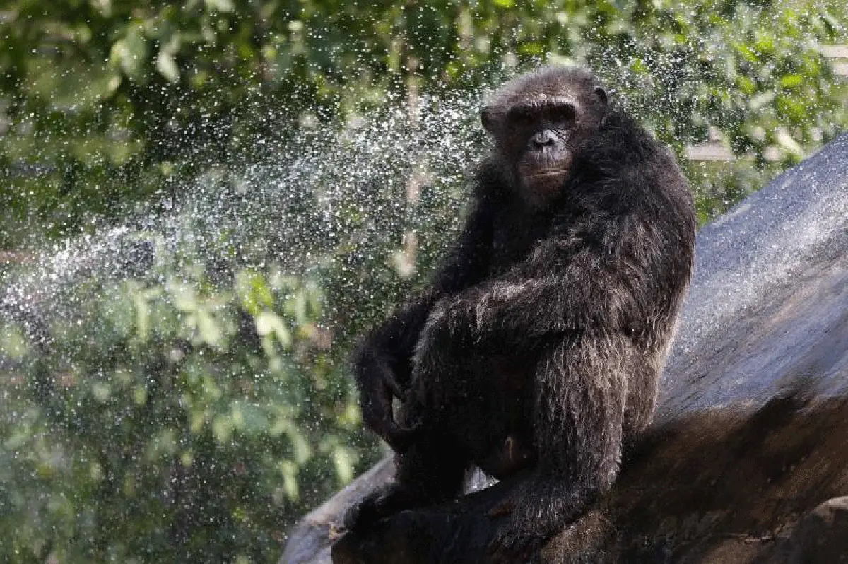 สวนสัตว์ดุสิต-เขาดินวนา ด้วยรักและผูกพัน