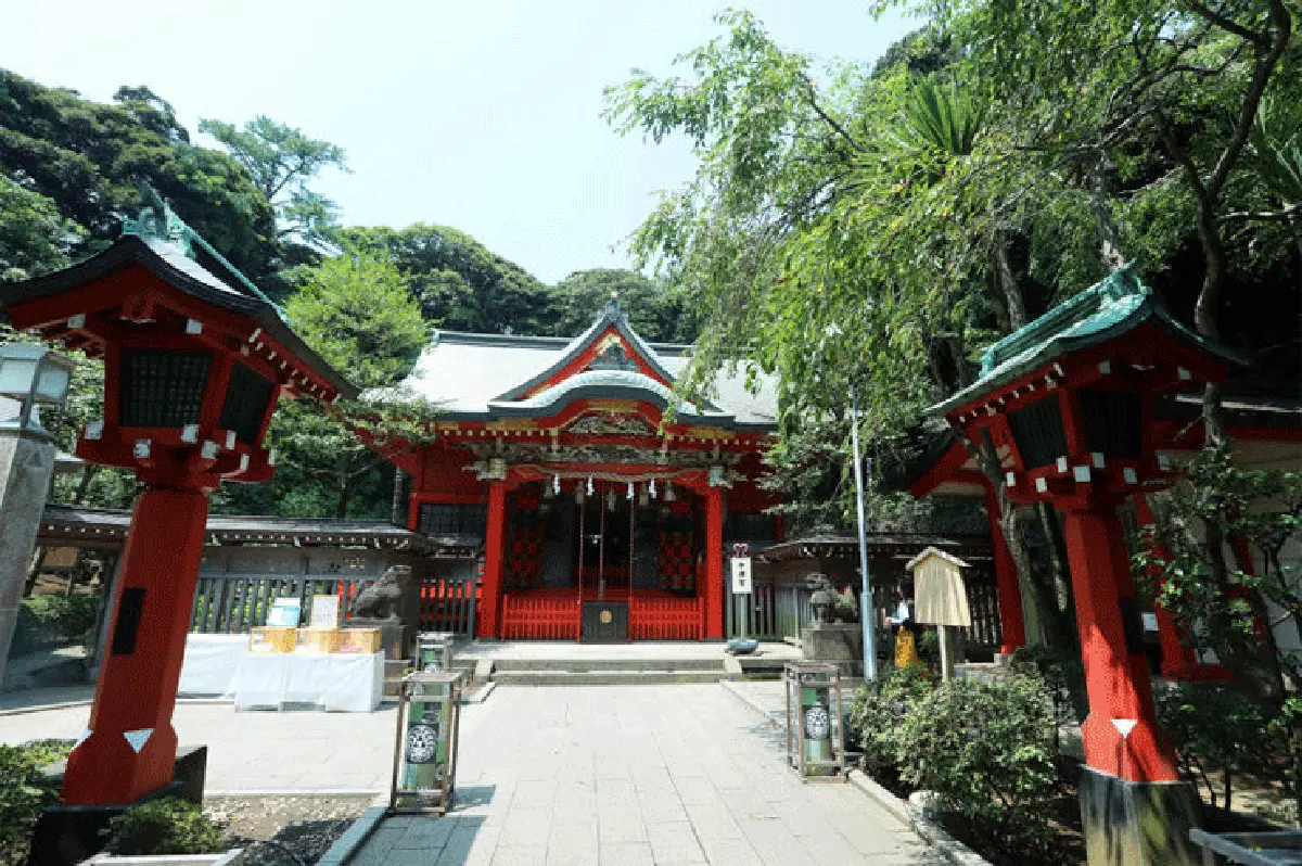 หนีฝนไปซบร้อน กับเจ้าฟูจิขี้อาย