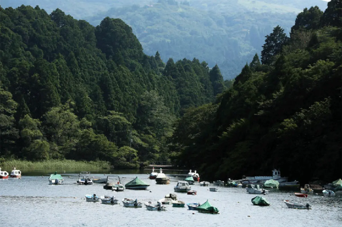 หนีฝนไปซบร้อน กับเจ้าฟูจิขี้อาย