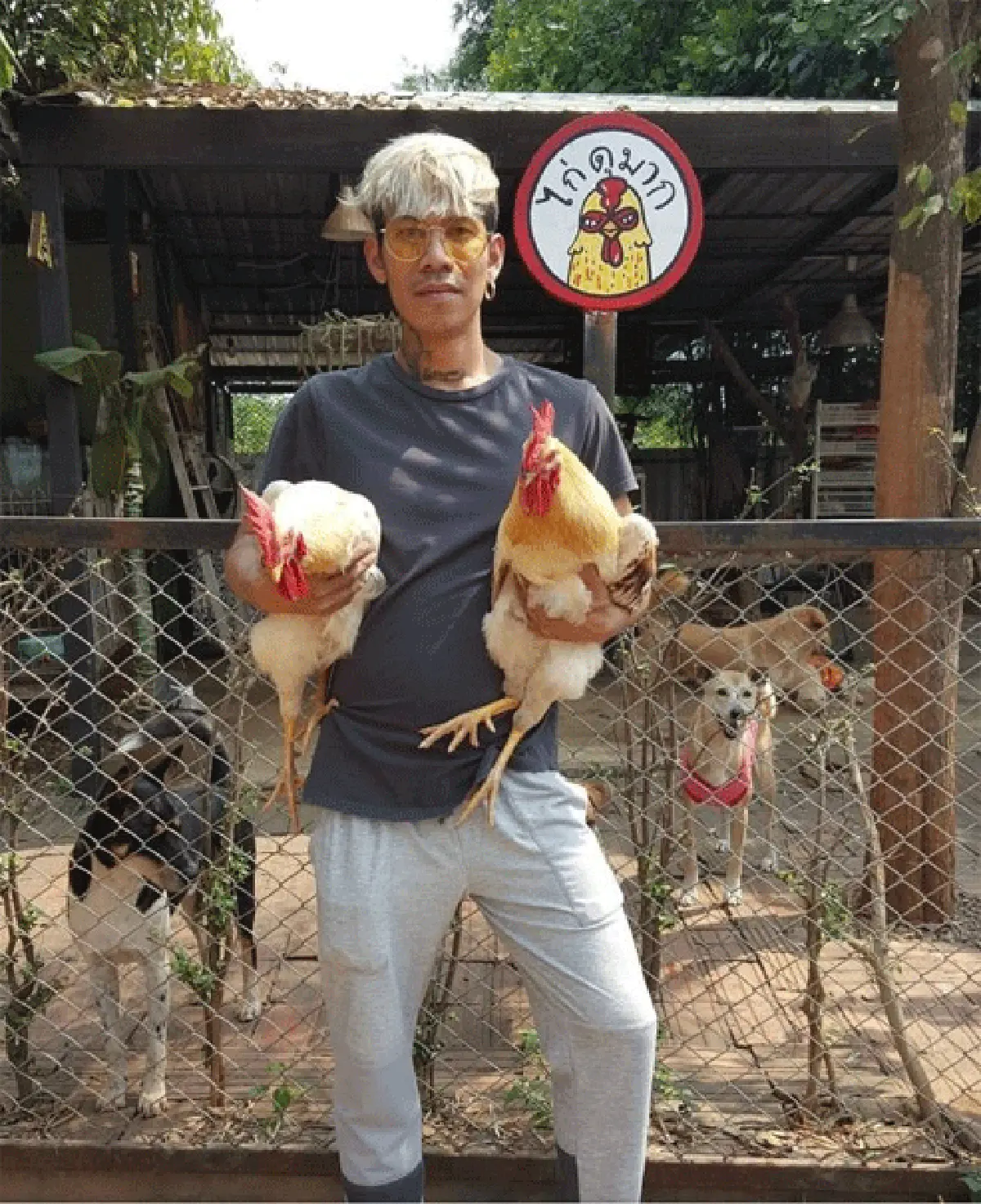 โก๋เอ็ม บุดดาเบลส พ่อทูนหัวของสัตว์ผู้โดดเดี่ยว