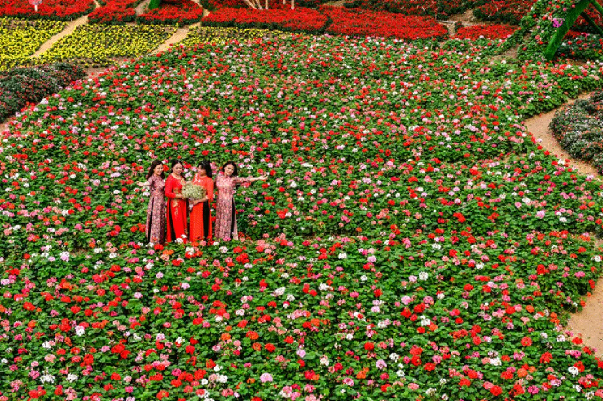 เที่ยวเวียดนามเหนือ เพลินชมดอกไม้ สัมผัสหลากวัฒนธรรม