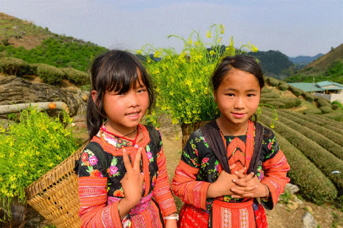 เที่ยวเวียดนามเหนือ เพลินชมดอกไม้ สัมผัสหลากวัฒนธรรม