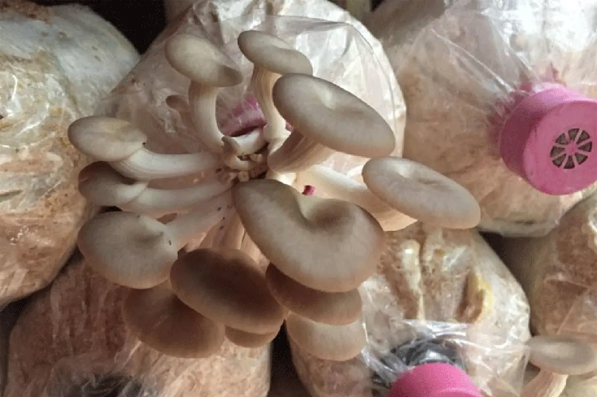 สุภารัตน์ คำมุงคุณ โจทย์ชีวิตและความสุขที่ต้องเลือก