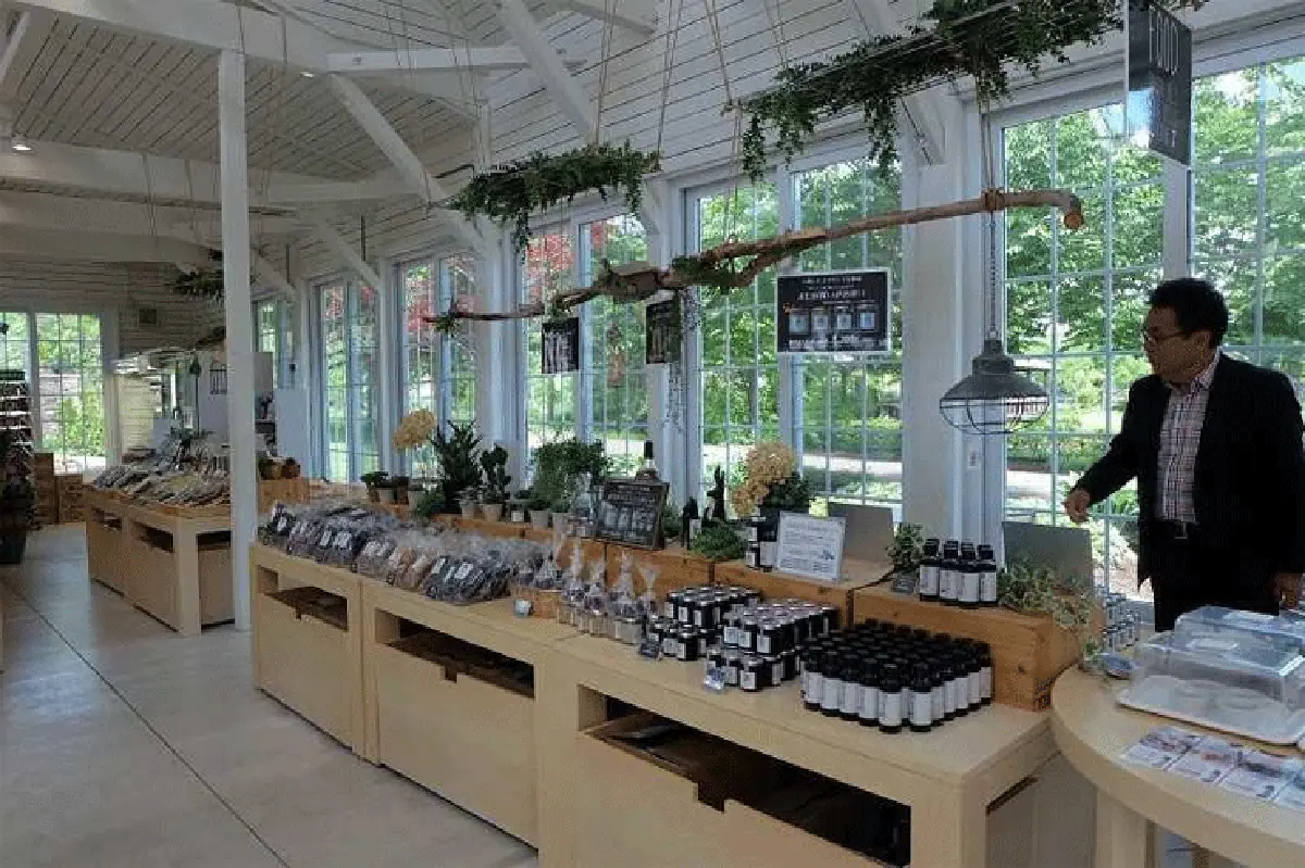 ขับรถเที่ยวฮอกไกโด (9)