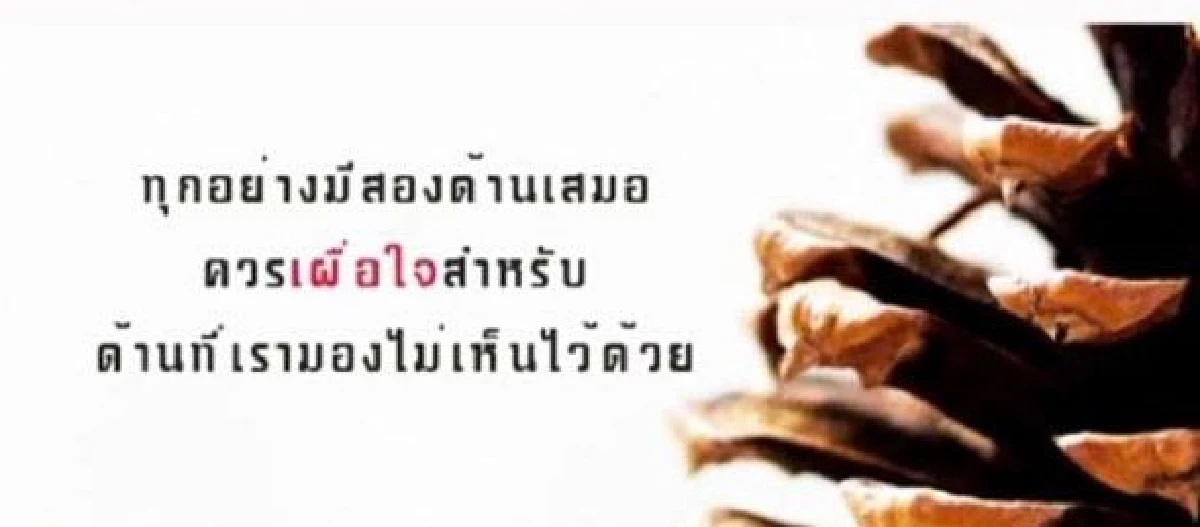 โพสต์แรกจาก เจนี่ หลังเจอดราม่าแตกคอ ใหม่ รัชดา ลั่นทุกอย่างมี 2 ด้านเสมอ