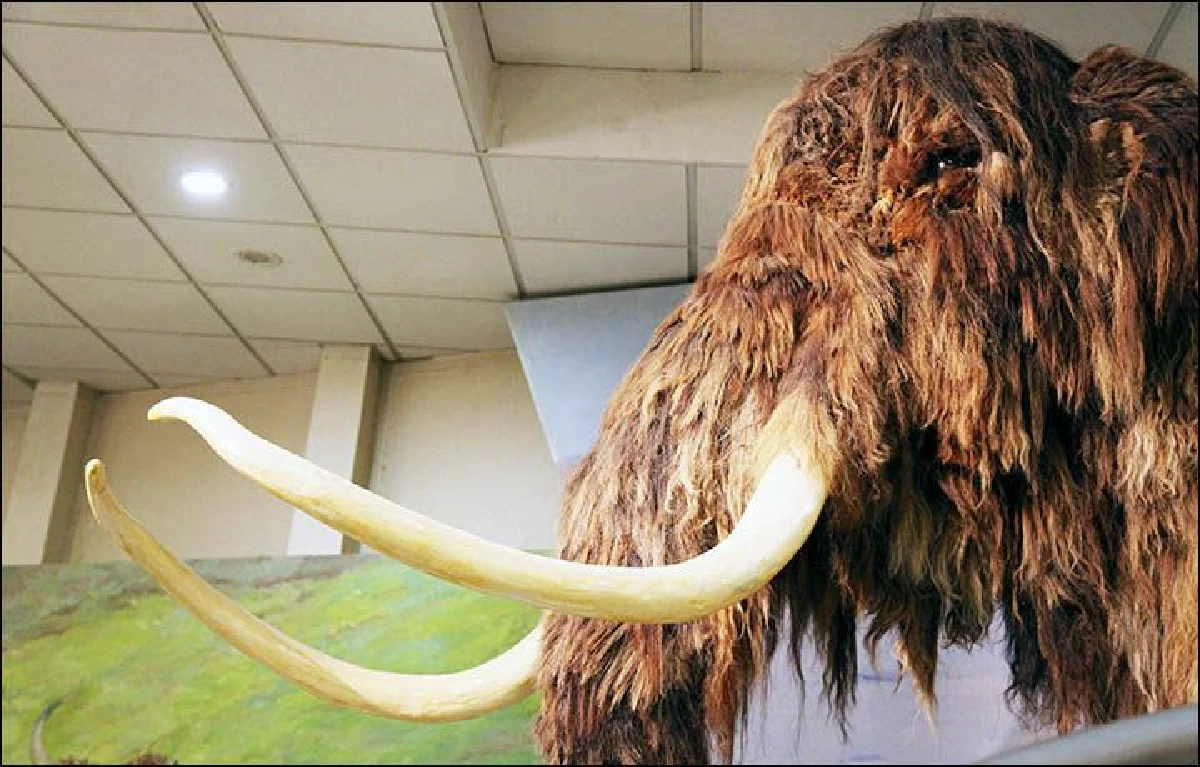 รัสเซียเล็งสร้าง "จูราสสิค พาร์ค" ปลุกชีพสัตว์ดึกดําบรรพ์