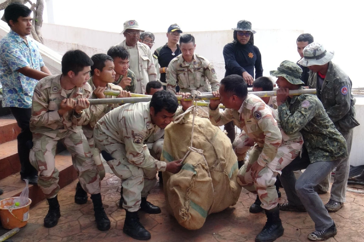 พบต้นอ่อนเกิดจากเมล็ดต้นพระศรีมหาโพธิ์ทรงปลูก-เคลื่อนย้ายตอแห้งตายไปหาทางฟื้นฟู