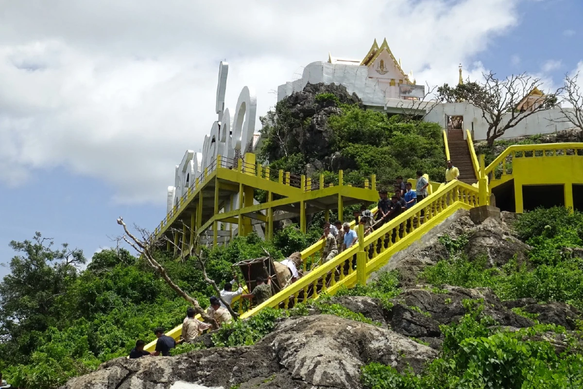 พบต้นอ่อนเกิดจากเมล็ดต้นพระศรีมหาโพธิ์ทรงปลูก-เคลื่อนย้ายตอแห้งตายไปหาทางฟื้นฟู