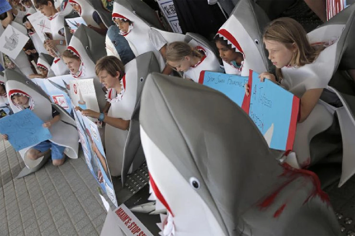 ต้านล่าฉลามน่ารักๆ ของเด็กๆ ในฮ่องกง