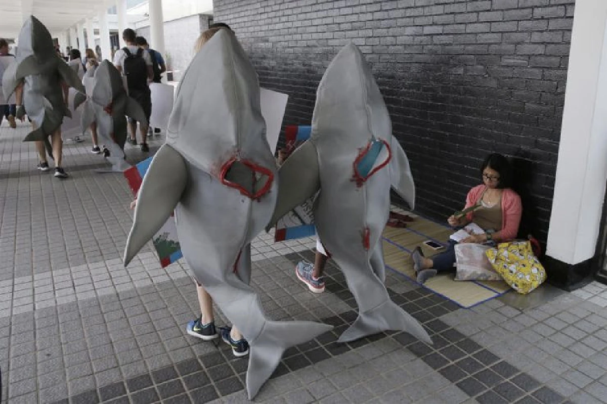 ต้านล่าฉลามน่ารักๆ ของเด็กๆ ในฮ่องกง