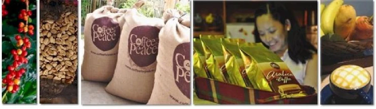 ‘กาแฟเพื่อสันติภาพ’ คืนความสงบสุขสู่มินดาเนา