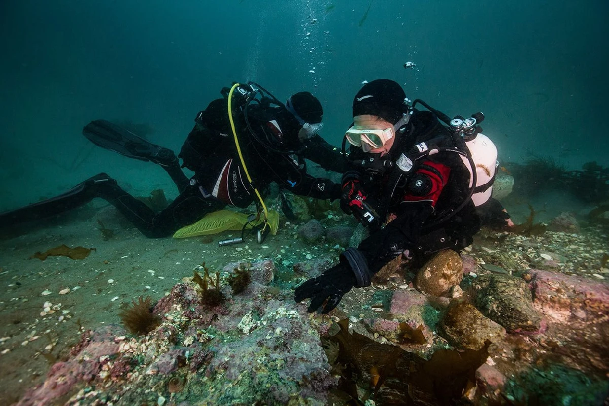 นักวิทย์ไทยดำน้ำสำรวจขั้วโลกเหนือ พบสัญญาณเตือนโลกร้อนหนัก