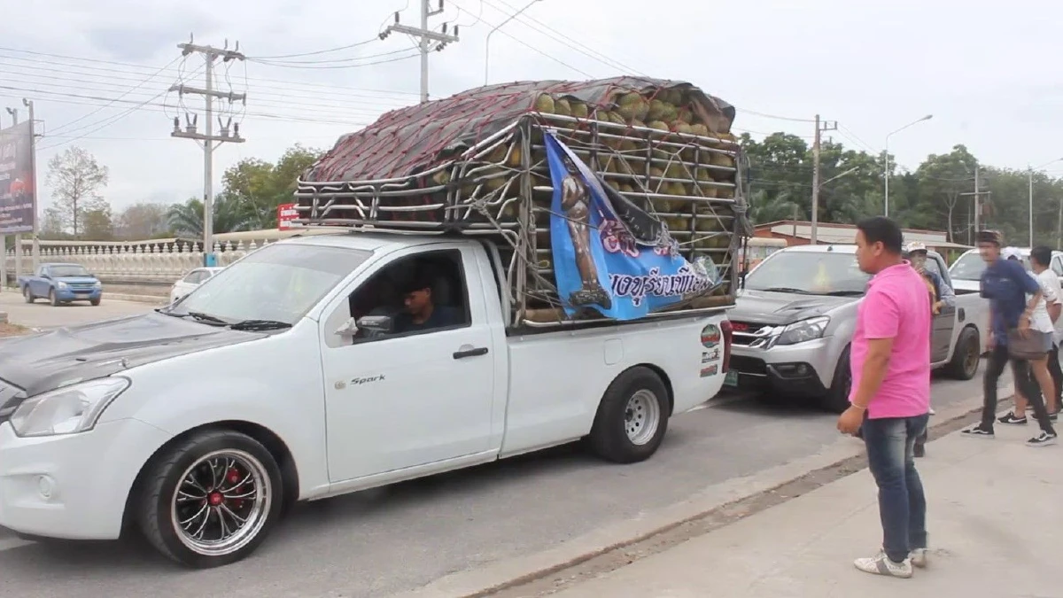 แม่ค้าแจกทุเรียนฟรี3ตันครึ่ง แก้บน "ไอ้ไข่วัดเจดีย์" หลังขายได้กำไรกว่า10ล้าน