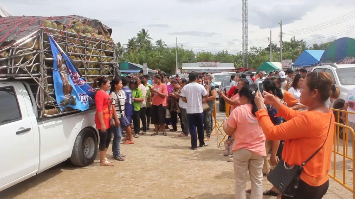 แม่ค้าแจกทุเรียนฟรี3ตันครึ่ง แก้บน "ไอ้ไข่วัดเจดีย์" หลังขายได้กำไรกว่า10ล้าน
