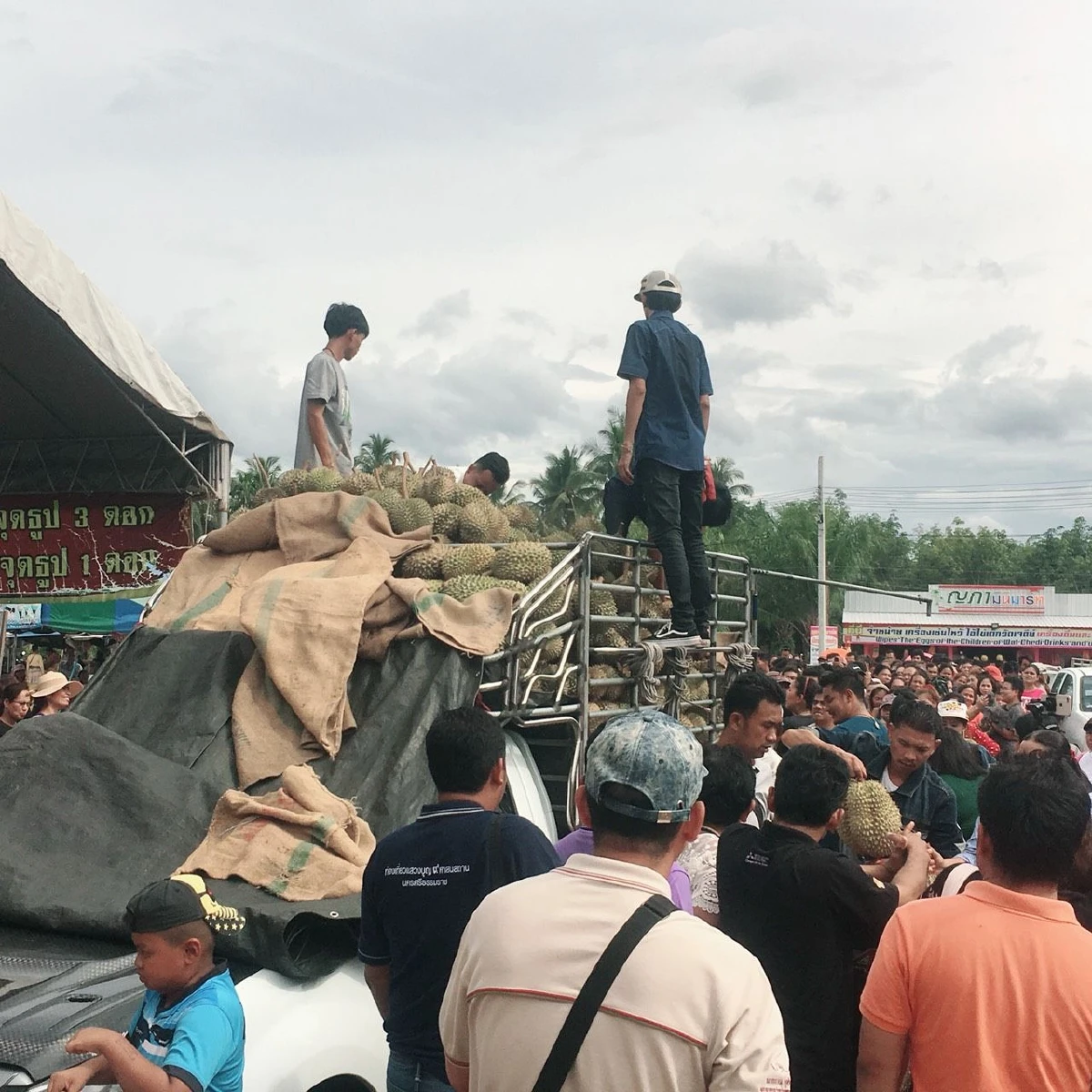 แม่ค้าแจกทุเรียนฟรี3ตันครึ่ง แก้บน "ไอ้ไข่วัดเจดีย์" หลังขายได้กำไรกว่า10ล้าน