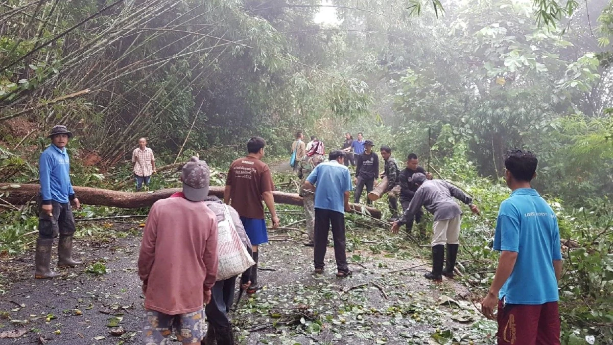 ฝนตกหนัก! น่านเจอน้ำป่าทะลัก-ดินถล่ม2อำเภอ