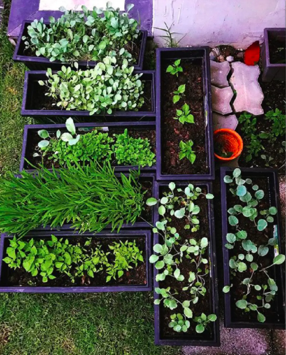 “ป๋อ” สุดภูมิใจ! หลังสอนลูกปลูกผักสวนครัวกินเองที่บ้าน