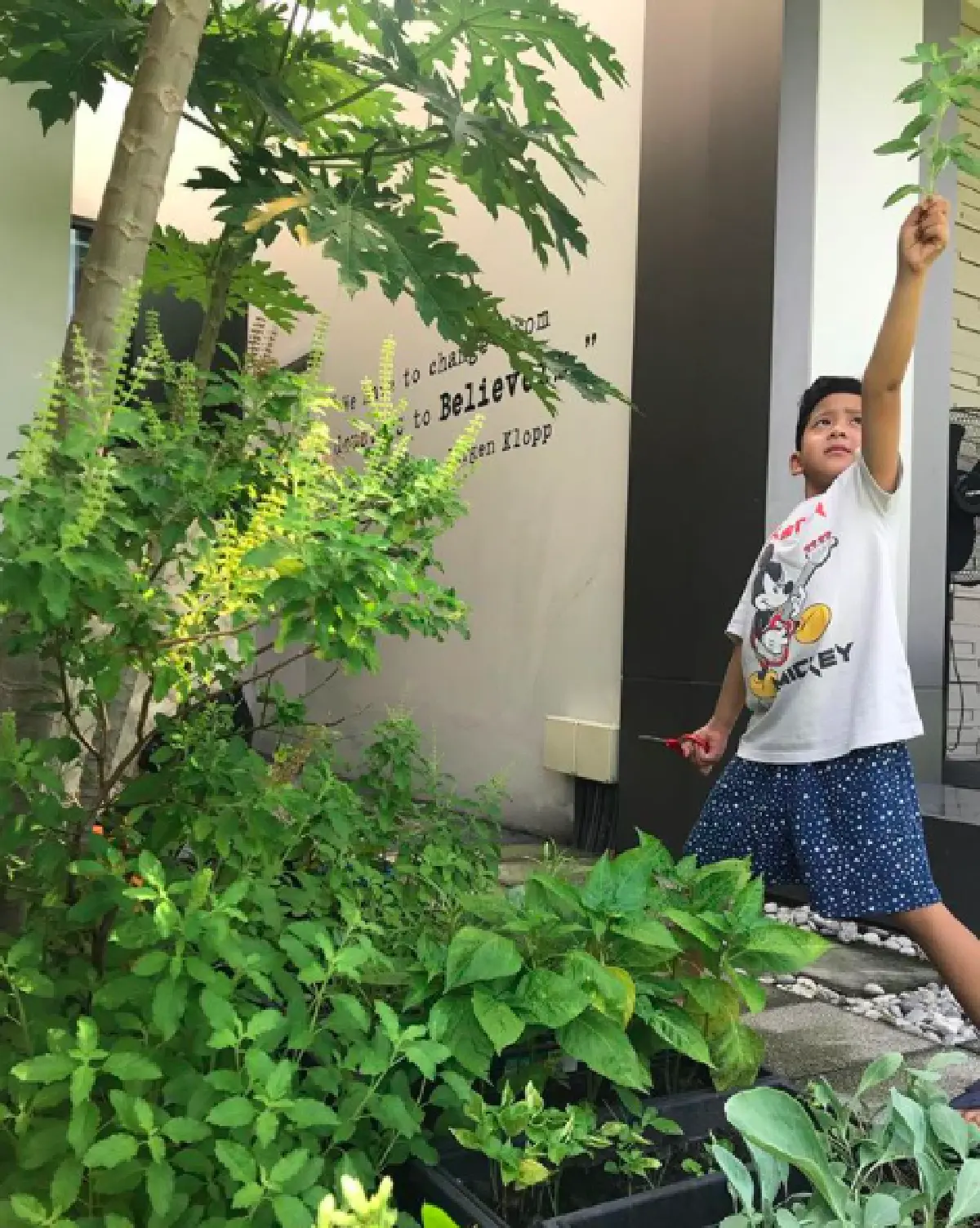 “ป๋อ” สุดภูมิใจ! หลังสอนลูกปลูกผักสวนครัวกินเองที่บ้าน