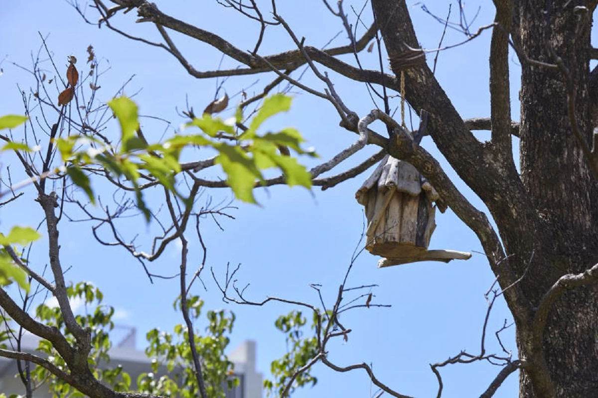 นวัตกรรมและเทรนด์การออกแบบบ้าน ตอบโจทย์ชีวิตสมัยใหม่จากญี่ปุ่น