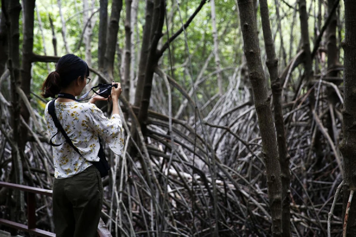 สำรวจปอดปากน้ำปราณ ‘สวนสิรินาถราชินี’