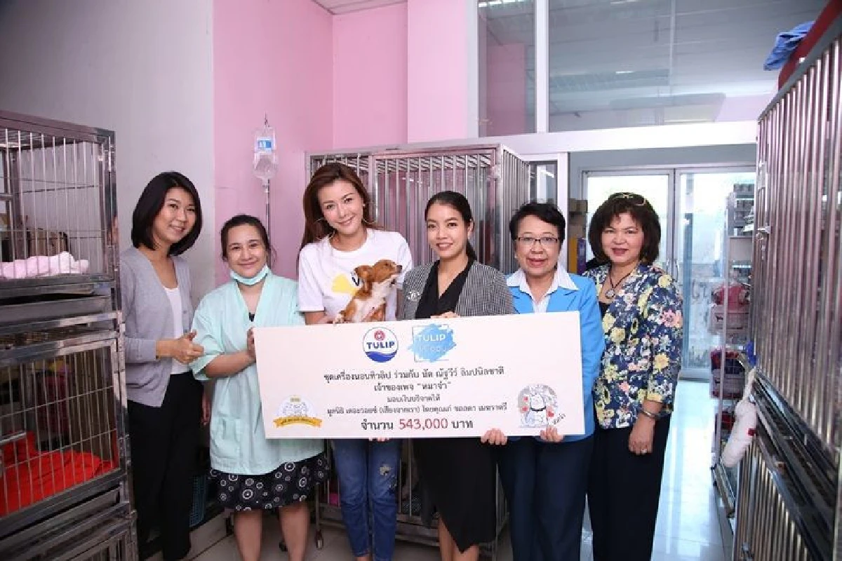 "Tulip ให้ไออุ่น" มอบเงินบริจาคให้ 9 องค์กรการกุศล รวมกว่าล้านบาท