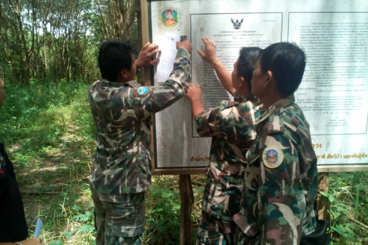 กรมอุทยานฯงัดมาตรการปค.รื้อถอนต้นยาง-บ้านพักตากอากาศทุ่งแสลงหลวง