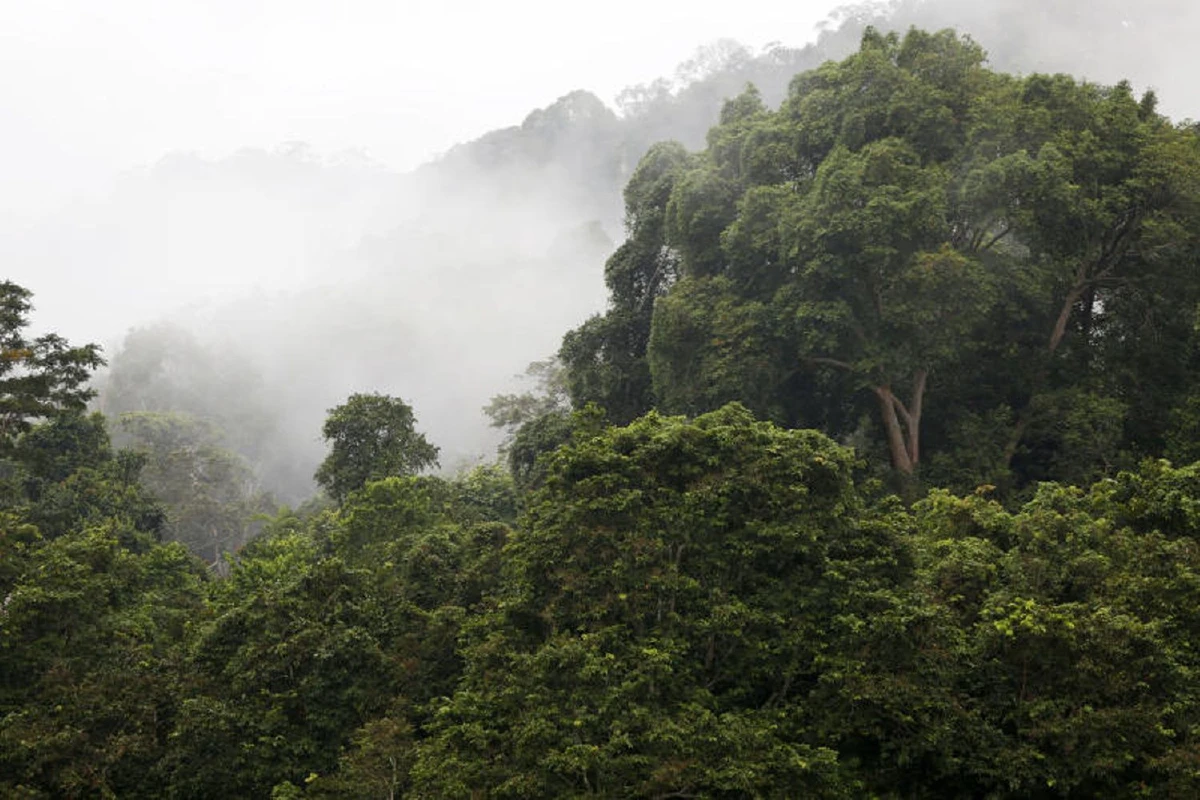 ‘จุฬาภรณ์พัฒนา 9’ บ้านลึกแต่ไม่ลับริมป่าฮาลาบาลา