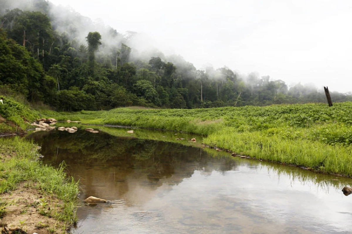 ‘จุฬาภรณ์พัฒนา 9’ บ้านลึกแต่ไม่ลับริมป่าฮาลาบาลา