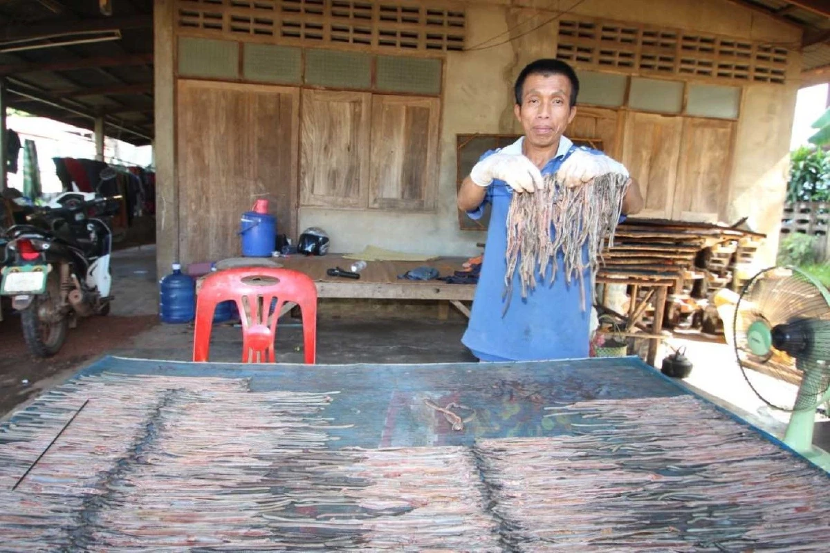 "ไส้เดือนตากแห้ง" ชาวบ้านเผยอาชีพเสริมรายได้งาม จีน-ไต้หวันต้องการไม่อั้น!