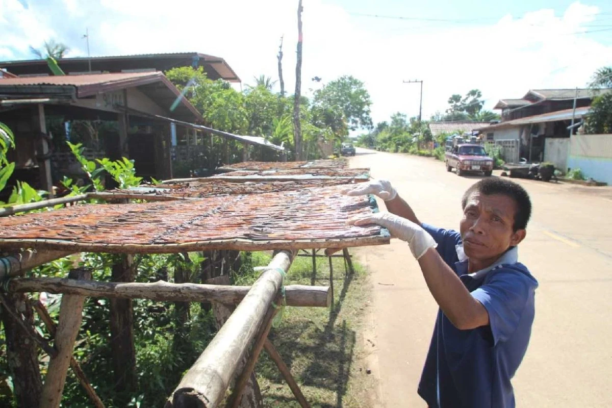 "ไส้เดือนตากแห้ง" ชาวบ้านเผยอาชีพเสริมรายได้งาม จีน-ไต้หวันต้องการไม่อั้น!