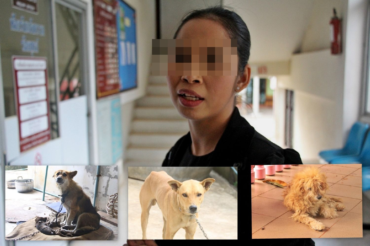 หมา3ตัวรุมกัดเด็กตายถูกย้ายพ้นชุมชน-เจ้าของถูกตั้ง2ข้อหา หมา3ตัวรุมกัดเด็กตายถูกย้ายพ้นชุมชน-เจ้าของถูกตั้ง2ข้อหา