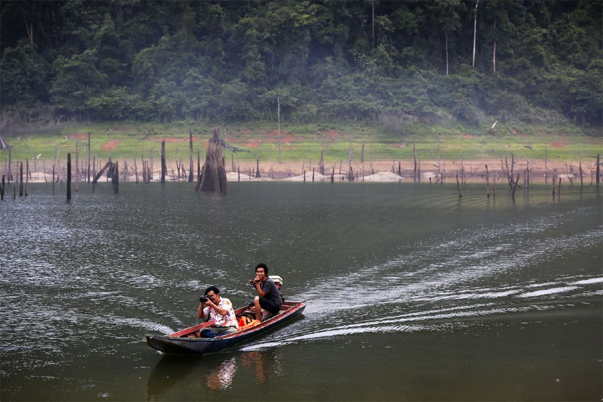โปรดขานรับ เสียงเพรียกของฮาลาบาลา