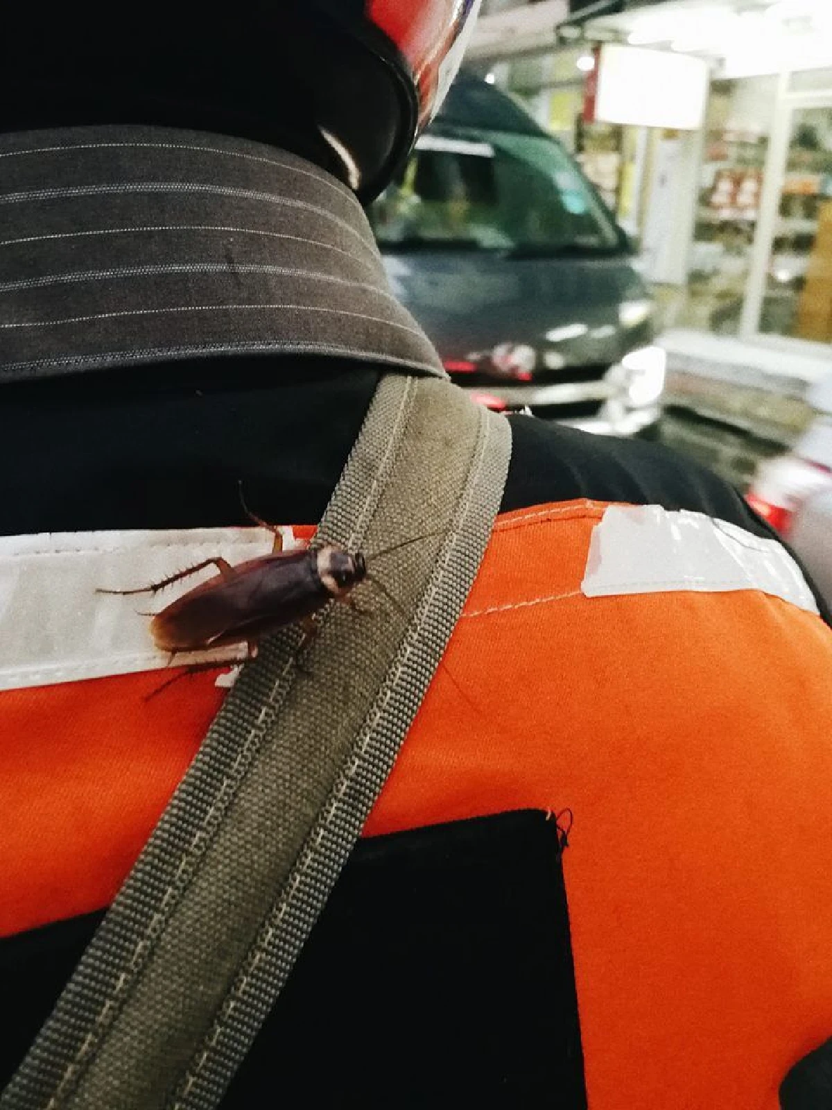 เรื่องสยองวันฝนตก สาวเจอแมลงสาบบนหลังพี่วินฯ