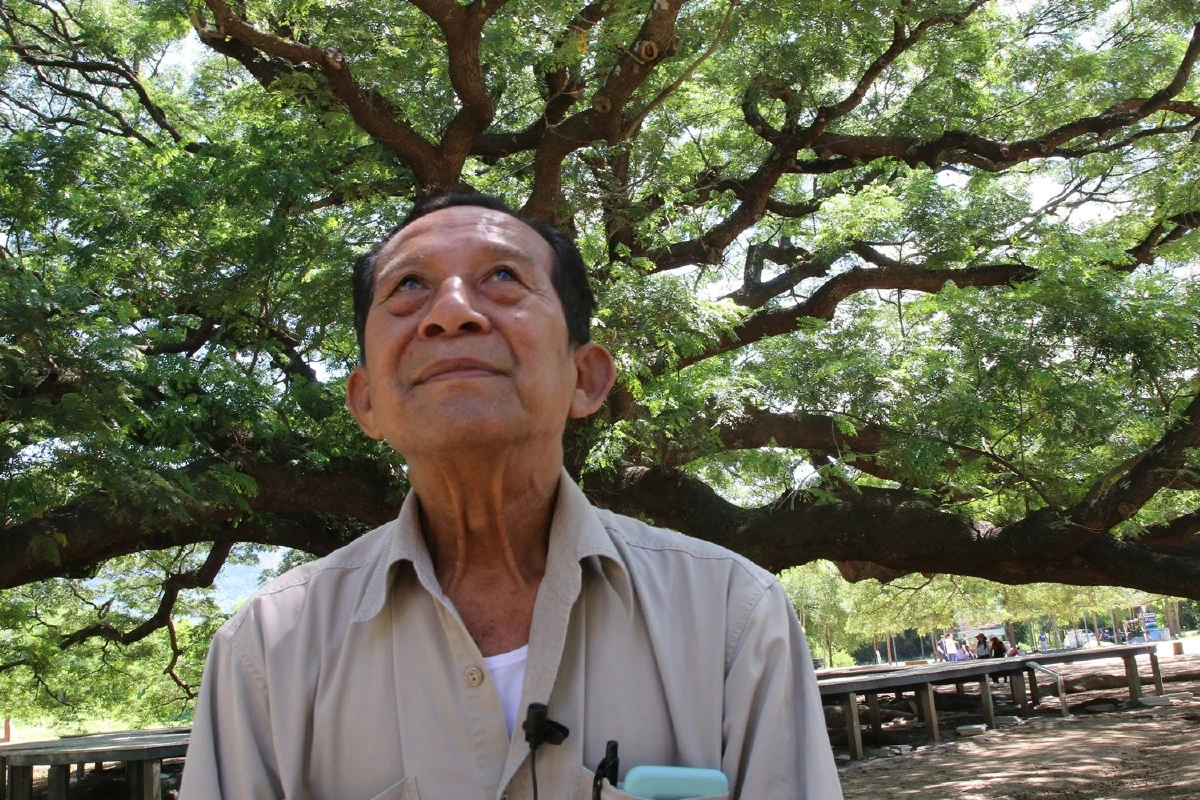 เจ้าหน้าที่รัฐเอาผิดผู้โพสต์ให้ร้ายปมสร้างทางเดินรอบต้นจามจุรียักษ์