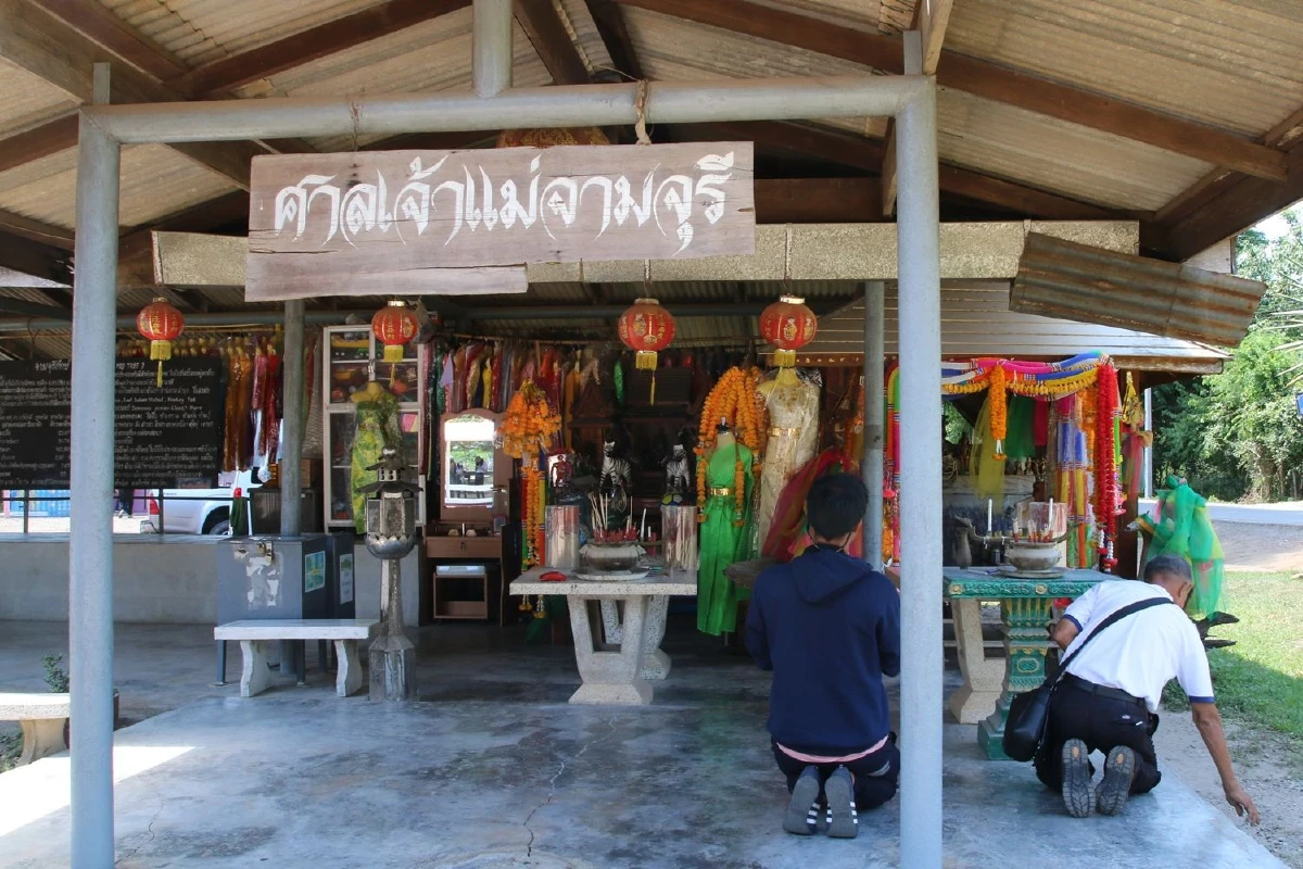 เจ้าหน้าที่รัฐเอาผิดผู้โพสต์ให้ร้ายปมสร้างทางเดินรอบต้นจามจุรียักษ์