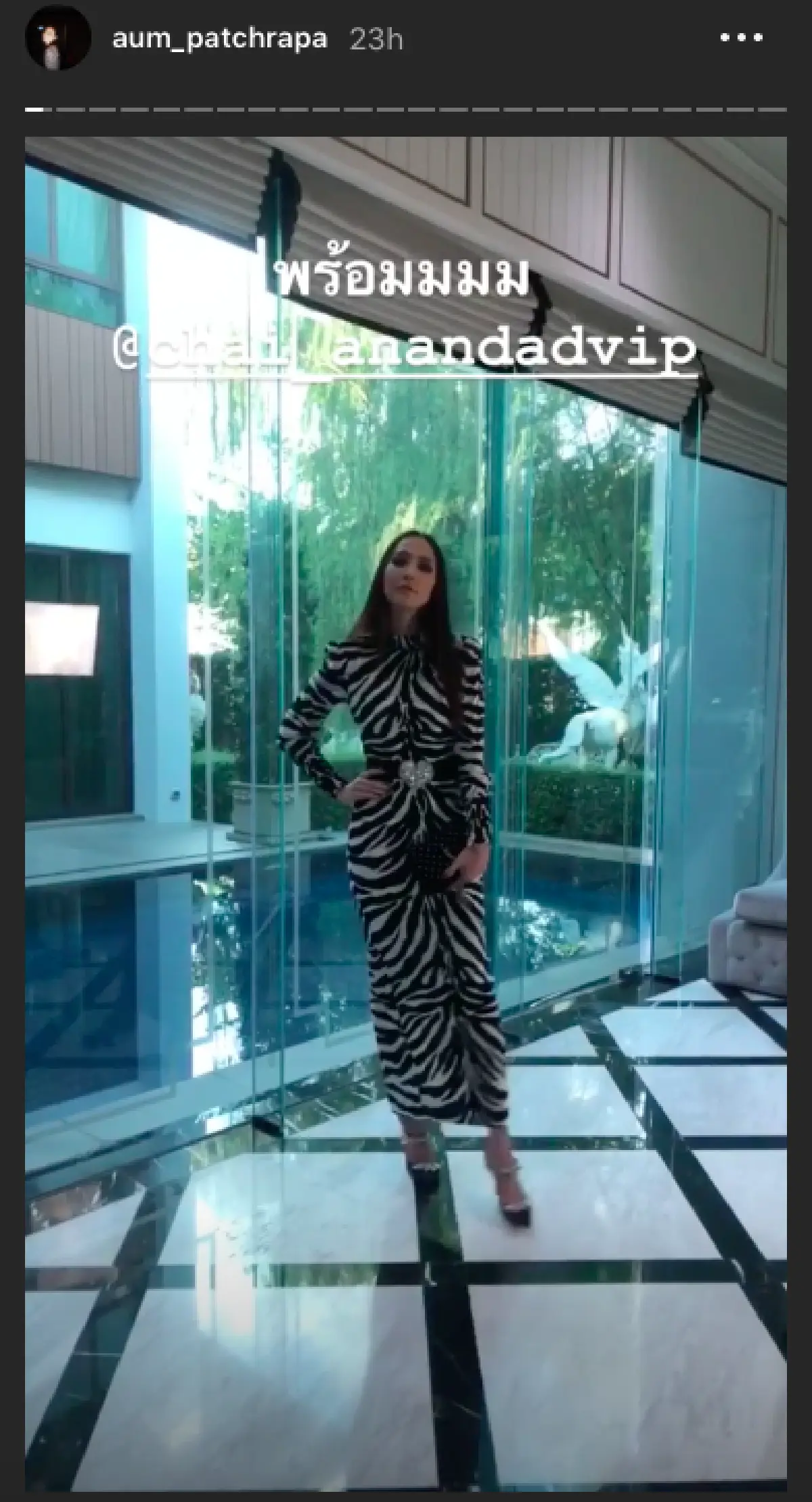 “อั้ม” ใส่ชุดม้าลายสุดแซ่บ นำทีมตัวพ่อ-ตัวแม่ของวงการ ร่วมงานวันเกิด “ชาย อานันทวีป”