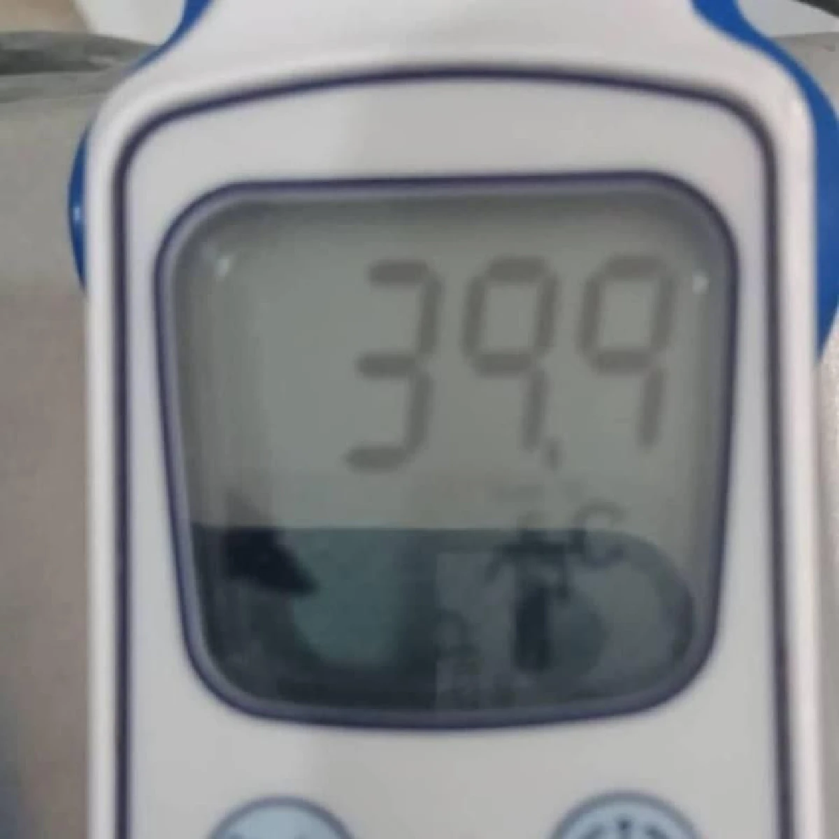 “แก้ว อภิรดี” พิษไข้ขึ้นสูงแอดมิทโรงพยาบาล ด้าน “เสธ.ต๊อด” ก็ป่วยแต่ยังคงดูแลไม่ห่าง