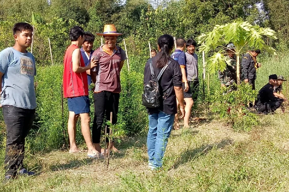 ป่าไม้วางกรงในสวนล่อแม่หมีเขาใหญ่หลังจับลูกของมันได้