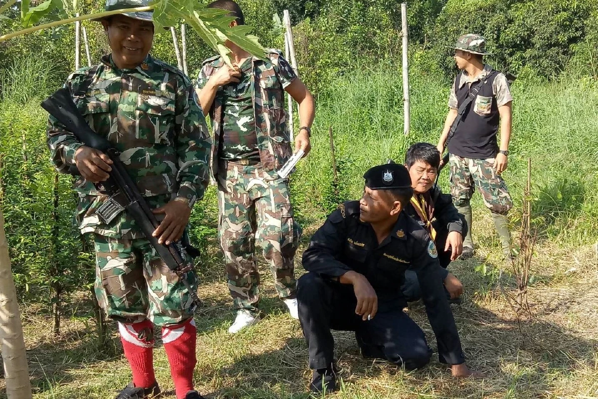 ป่าไม้วางกรงในสวนล่อแม่หมีเขาใหญ่หลังจับลูกของมันได้