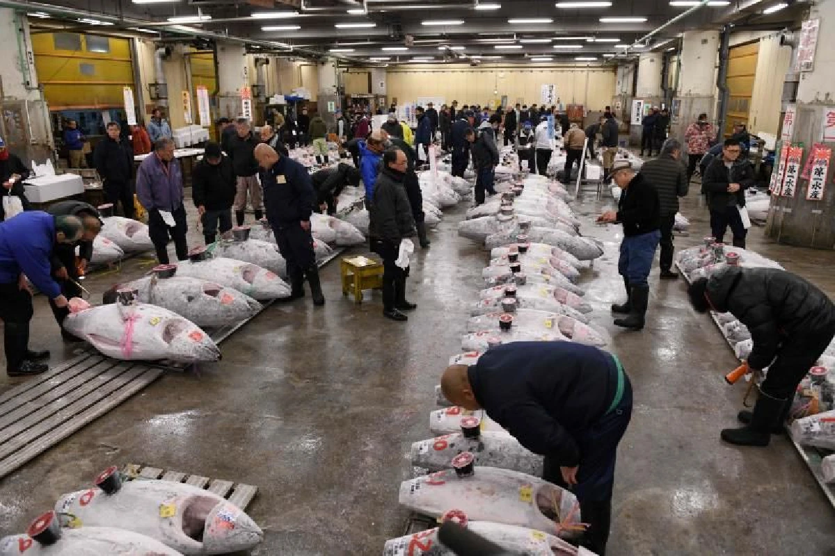 อำลา 83 ปี ตลาดปลาซึกิจิ ปิดตัวอย่างเป็นทางการ