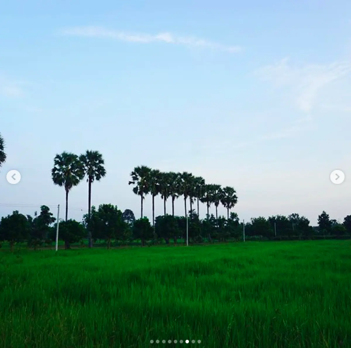 เปลี่ยน "ไร่นาป่าสงวน" ของ "ปอ ทฤษฎี" สู่โฮมสเตย์บ้านไร่อากาศบริสุทธิ์ สงบสุขที่บุรีรัมย์