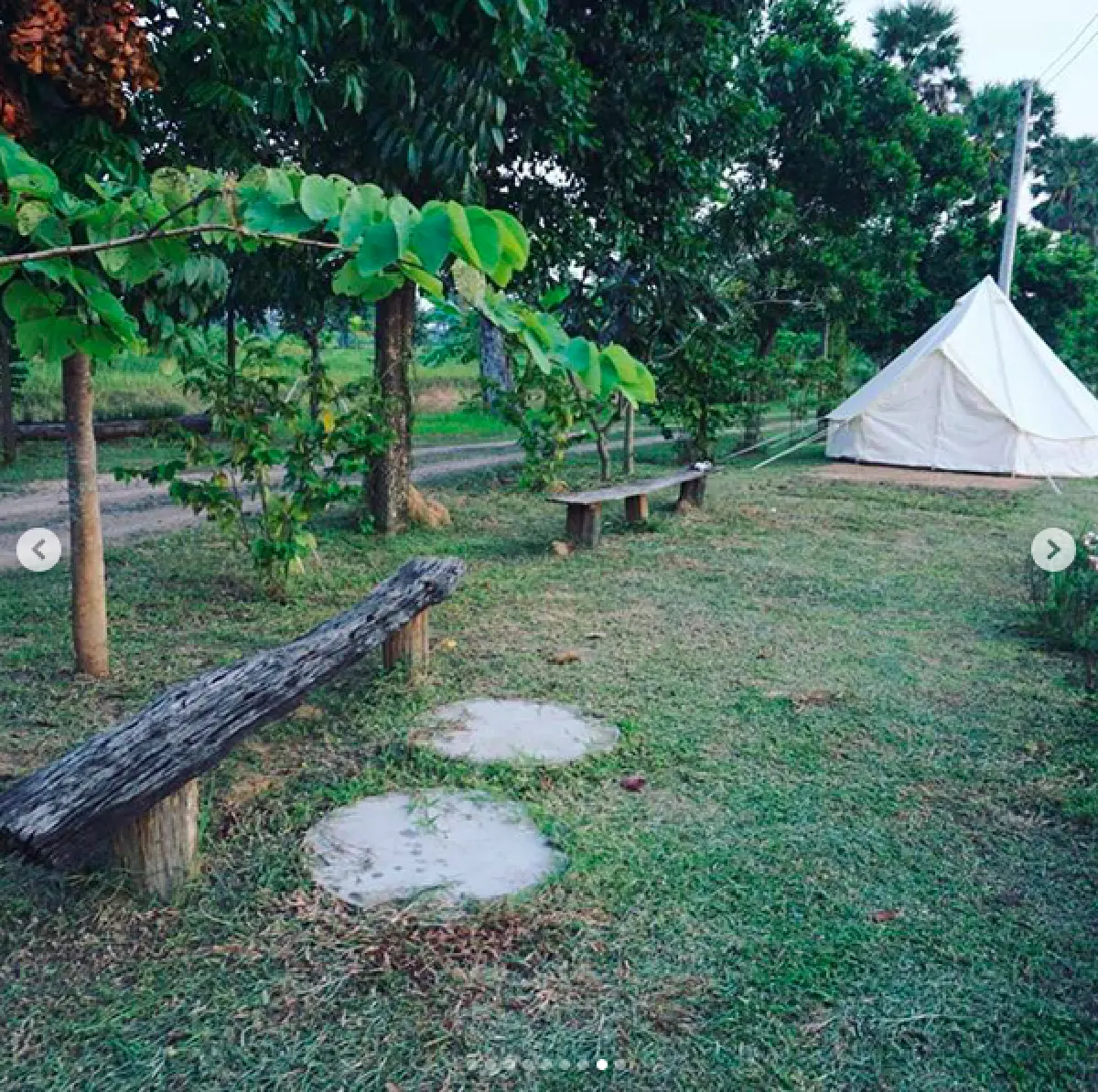 เปลี่ยน "ไร่นาป่าสงวน" ของ "ปอ ทฤษฎี" สู่โฮมสเตย์บ้านไร่อากาศบริสุทธิ์ สงบสุขที่บุรีรัมย์