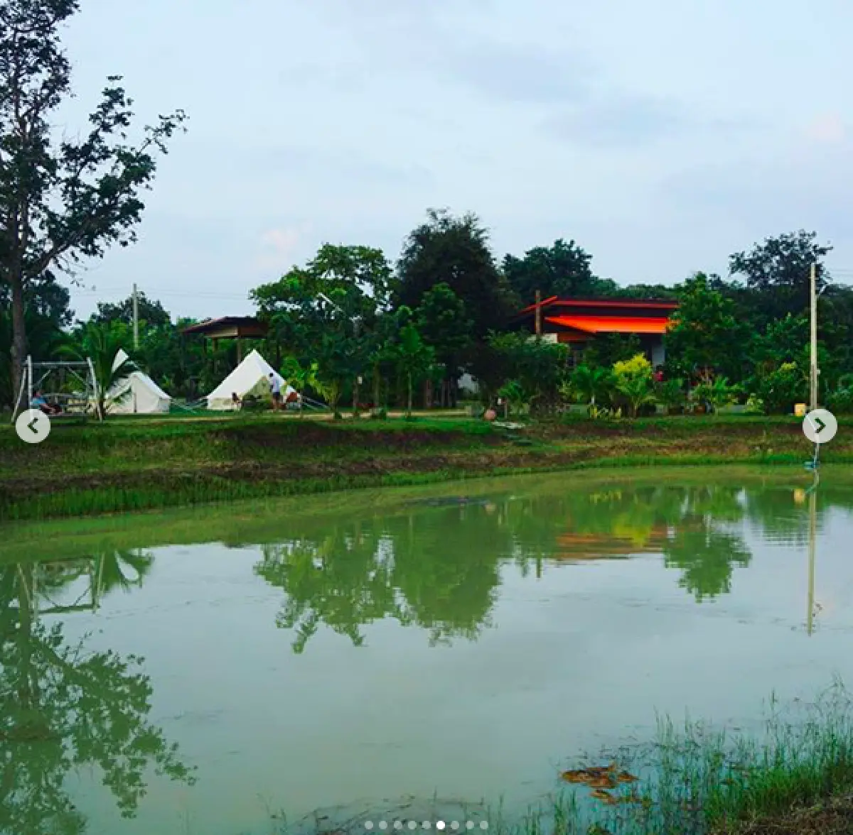 เปลี่ยน "ไร่นาป่าสงวน" ของ "ปอ ทฤษฎี" สู่โฮมสเตย์บ้านไร่อากาศบริสุทธิ์ สงบสุขที่บุรีรัมย์