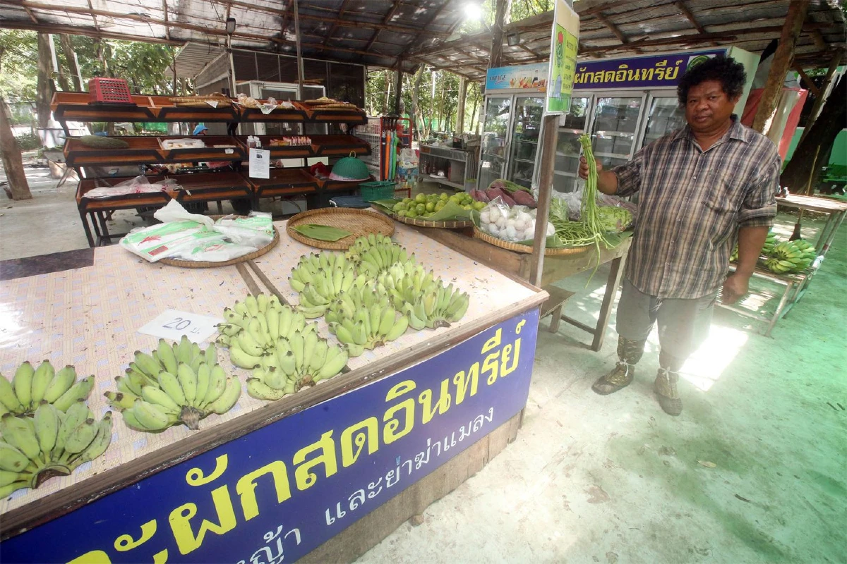 สมโภช ทับเจริญ ผืนป่ากลางกรุง 1.5 พันล้าน ของรักที่สุดในชีวิต