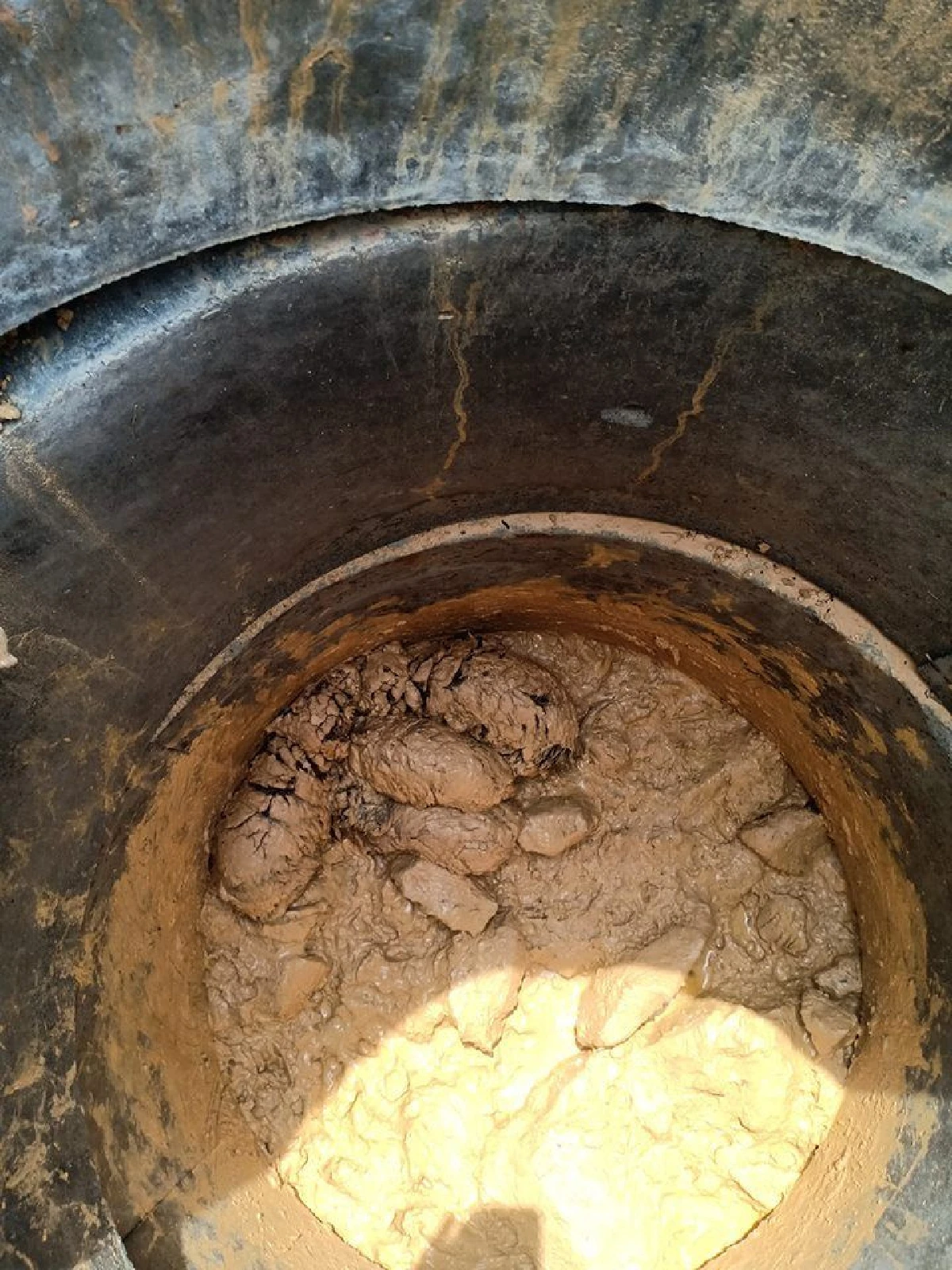 หนุ่มใต้โดดลงบ่อโคลนช่วยแก๊งเจ้าตูบ