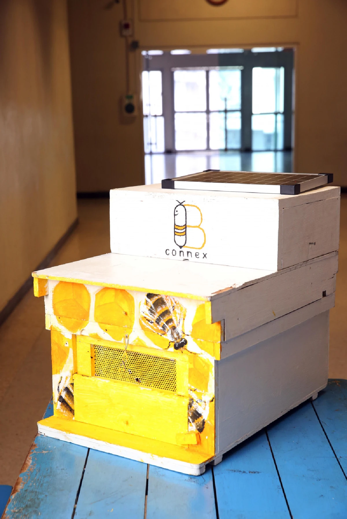 Bee Connex กับระบบผึ้งอัจฉริยะ