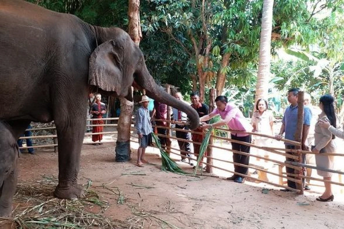 สุรินทร์ชูเสน่ห์หมู่บ้านช้างต่อยอดท่องเที่ยวOTOPนวัตวิถี