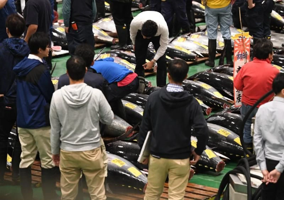 ตลาดปลาโทโยสุเปิดทำการเป็นวันแรก