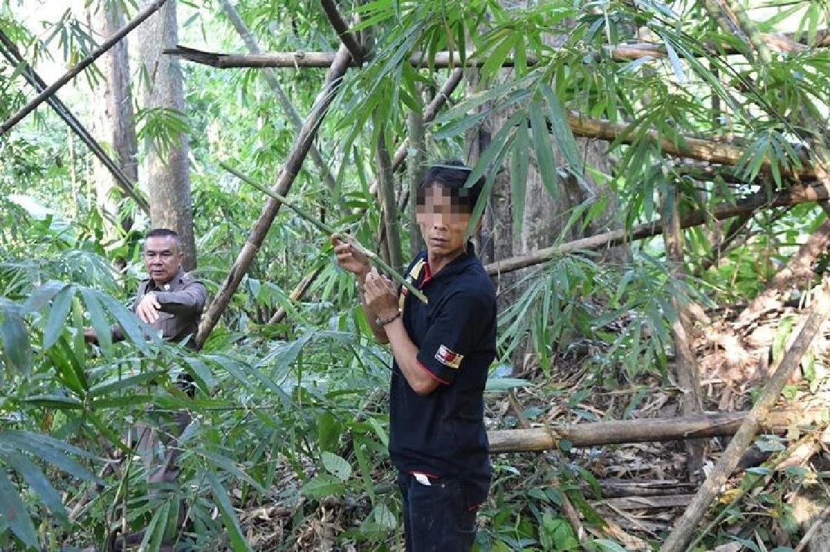 ฝากขัง "ตาต้า" มือยิงหมีขอ