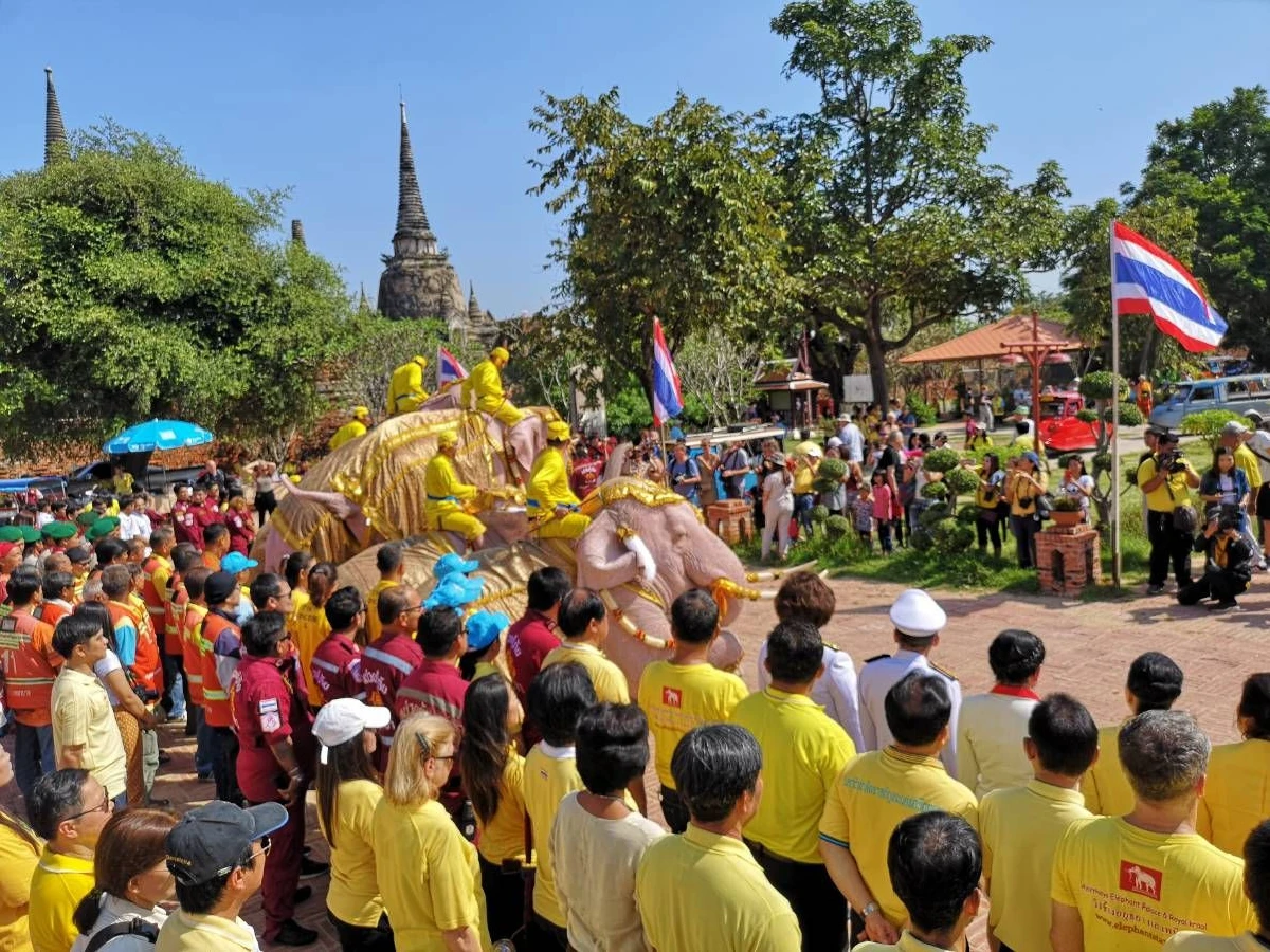 ช้างกรุงเก่าแต่งเหลืองน้อมสำนึกพระมหากรุณาธิคุณคล้ายวันสวรรคตร.9